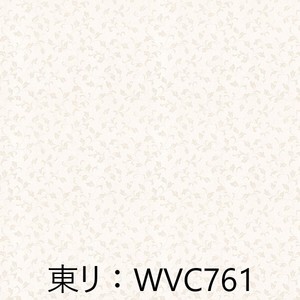 WVC761.jpg
