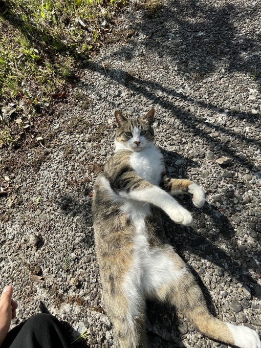 IMG_1994.jpeg