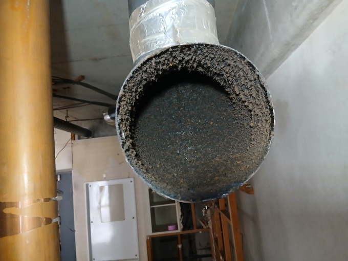 20260425_082232.jpg