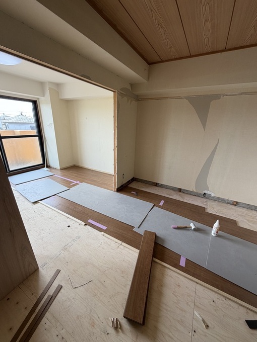 IMG_2672.jpeg