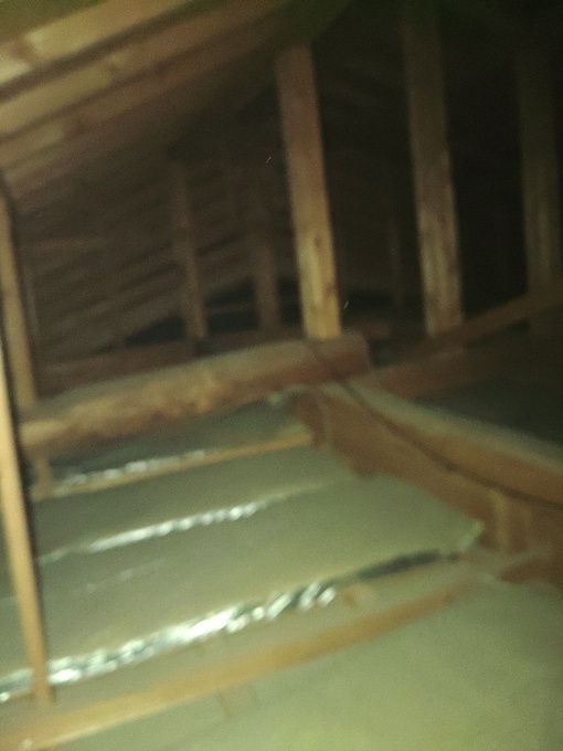 20260527130741.JPG