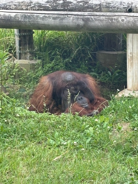 image9.jpeg