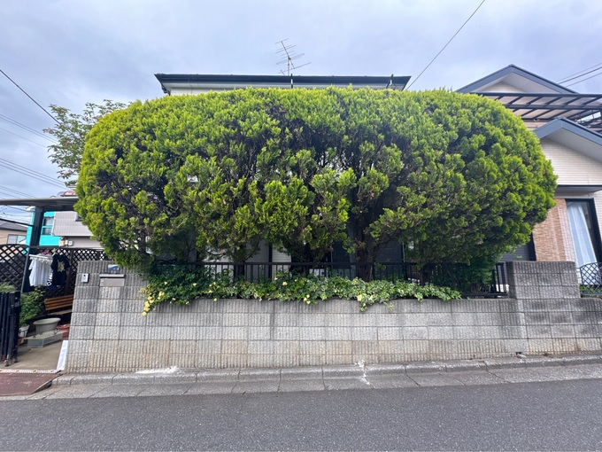 A83CE8A5-1F52-40D8-B1BE-1280F53F98B8.JPG