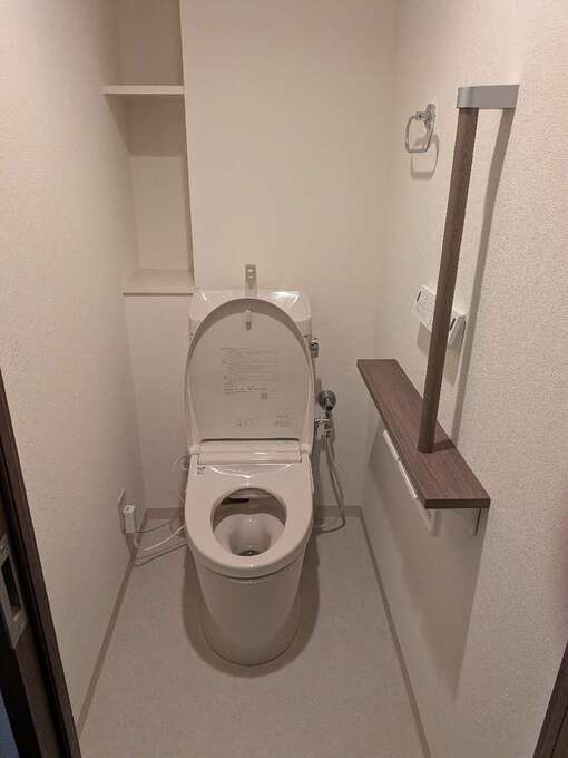 533.jpg
