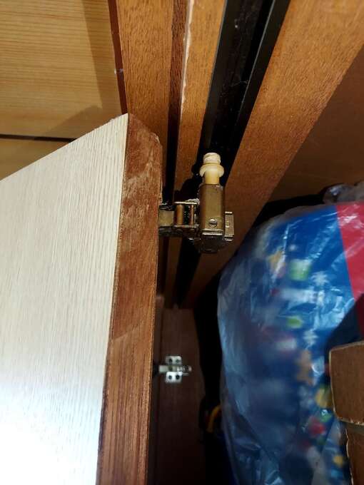 1000043087.jpg