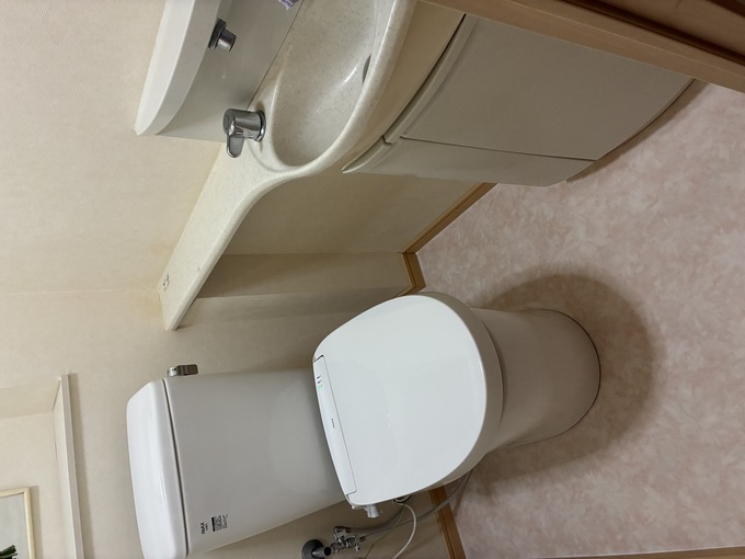 toilet-cushion-floor-reform.jpg