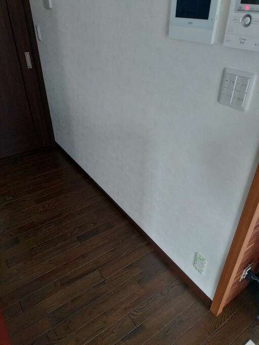 1000005665.jpg