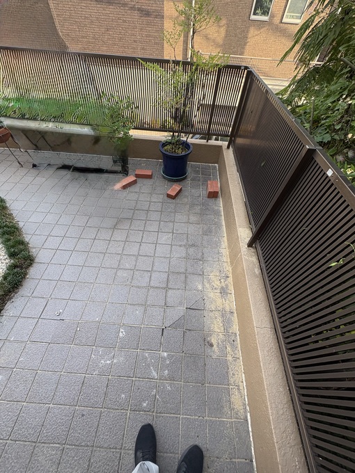 IMG_8197.jpeg