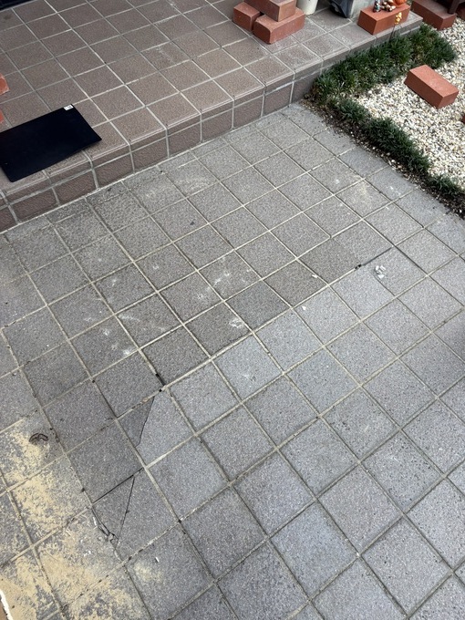 IMG_8203.jpeg
