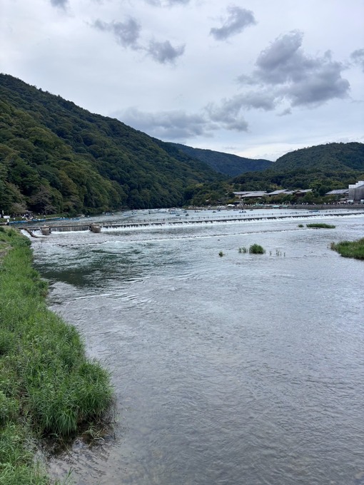 S__16023557.jpg