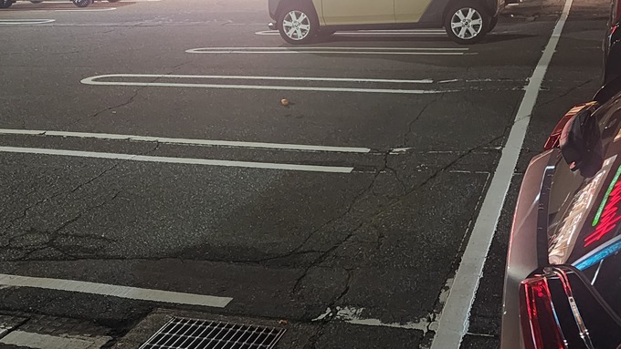 20261016_204956.jpg