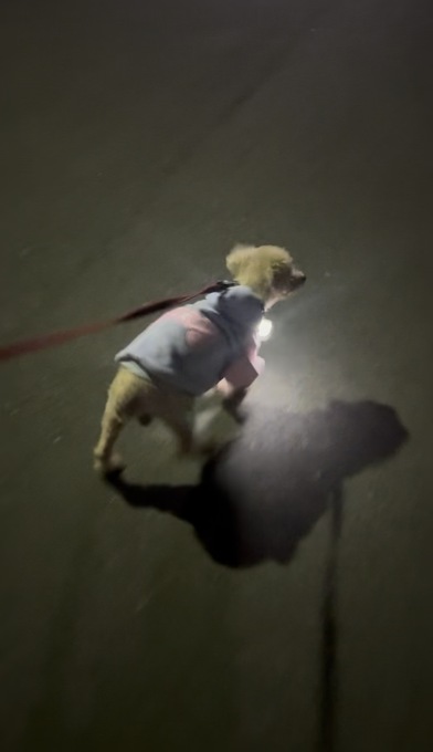 20261018112426.jpg