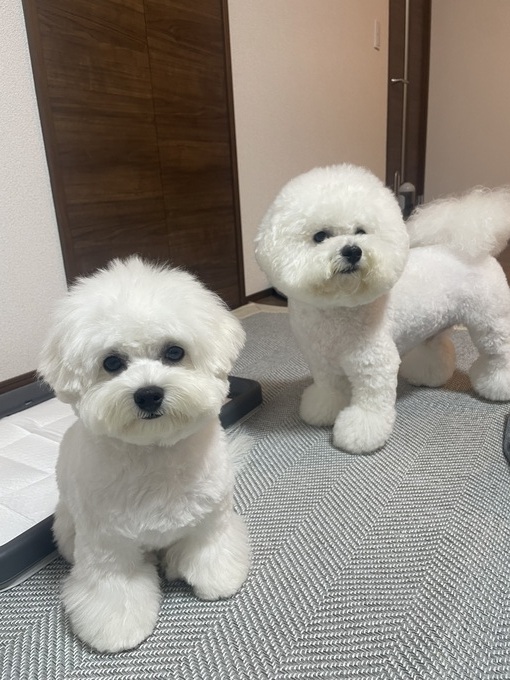 image112.jpeg