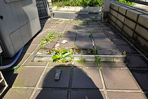 あま市 K様邸-リフォーム施工前03