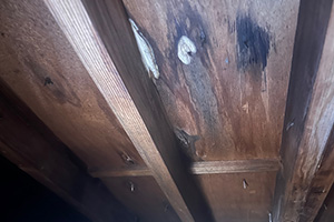 東海市 J様邸-外壁・屋根リフォーム施工前01