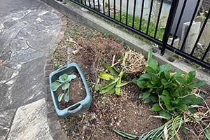 安城市 A様邸-リフォーム施工前02