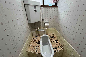 新潟市西区 N様邸-トイレリフォーム施工前01