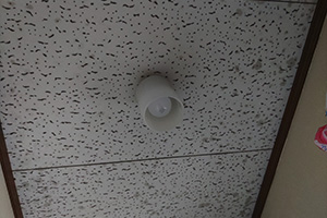 静岡市清水区 I様邸-トイレリフォーム施工前04