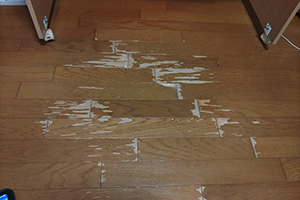 静岡市駿河区 I様邸-リフォーム施工前02