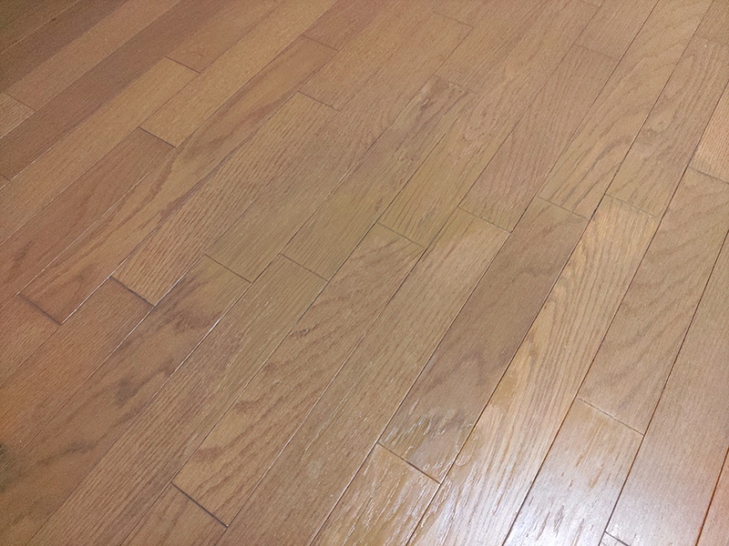 静岡市駿河区 I様邸-リフォーム施工後02