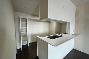 所沢市 I様邸-トイレリフォーム, マンションフルリフォーム施工前03