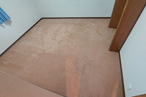 豊田市 F様邸-内装リフォーム施工前02